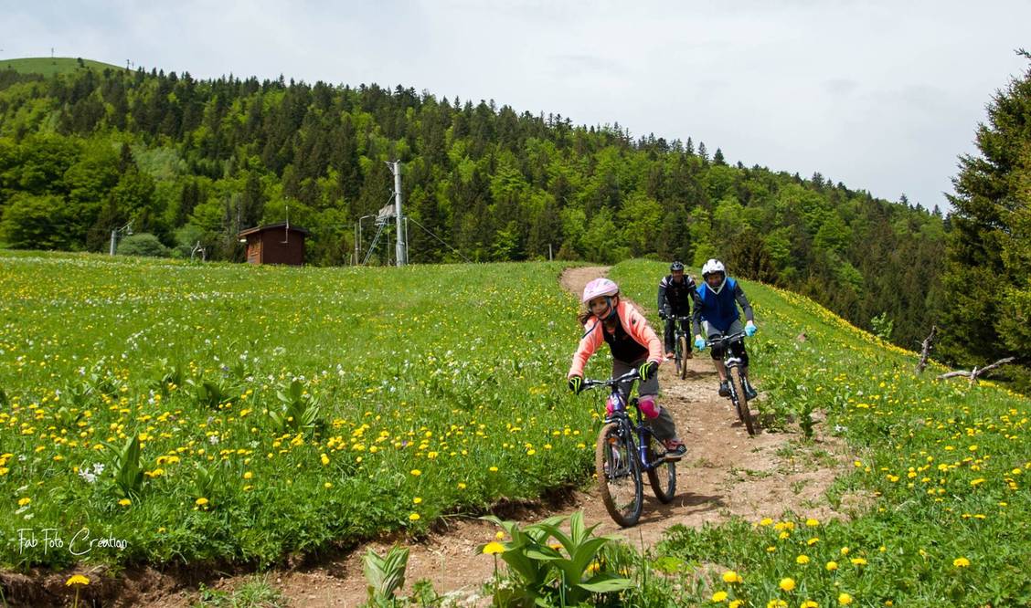 Des enfants dévalent une piste de VTT de descente