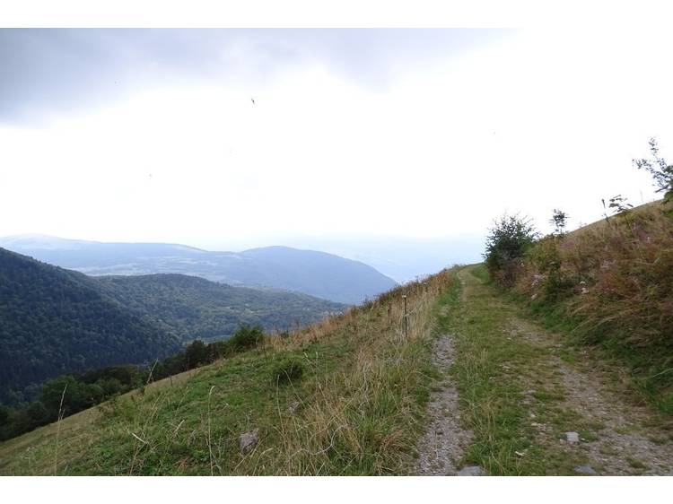 Photo 2 N°22 Les Souillets VTTAE - Vert