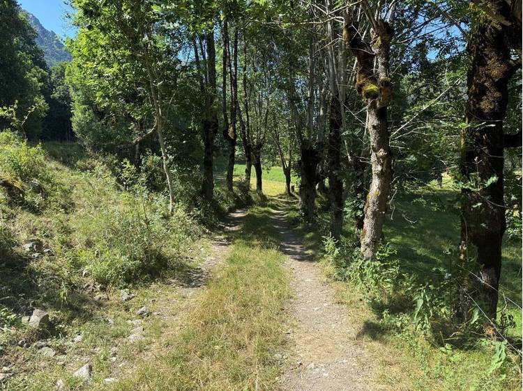 Photo 1 Rando-poussette des Mazoirs-Itinéraire pédestre