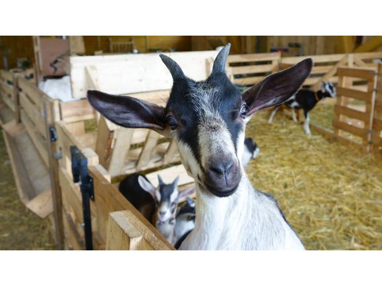 Photo 1 Ferme du Grand Rif