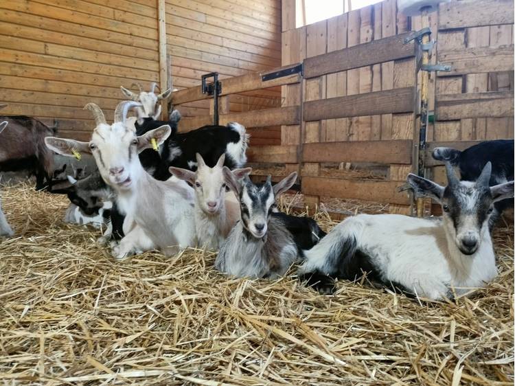 Photo 3 Ferme du Grand Rif