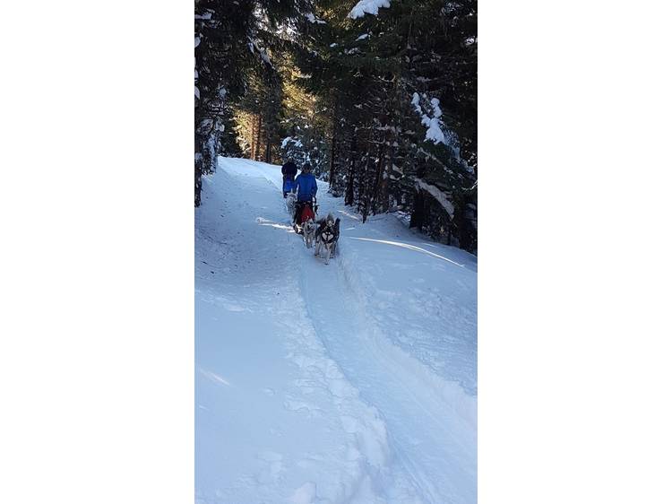 Photo 12 Chalet Luc André -8 personnes-
