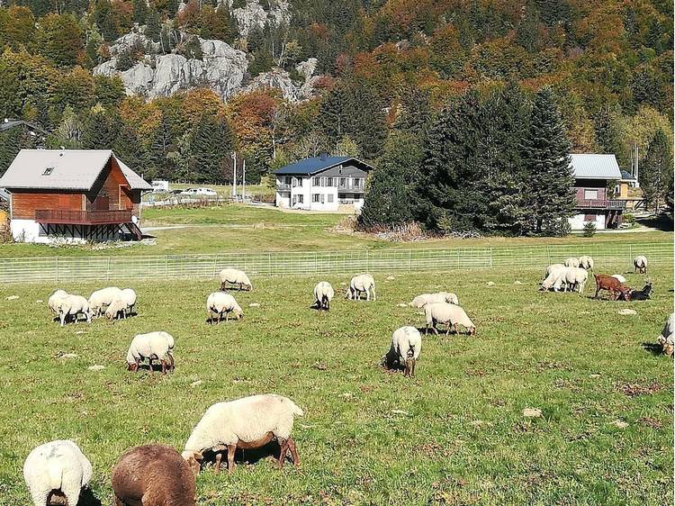 Photo 29 Chalet Luc André -8 personnes-