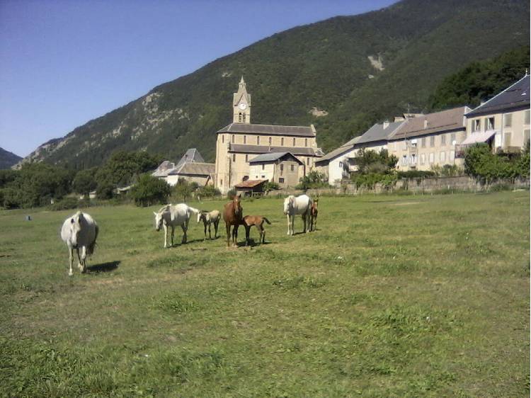 Photo 41 Gîte la vieille écurie - 4 pers