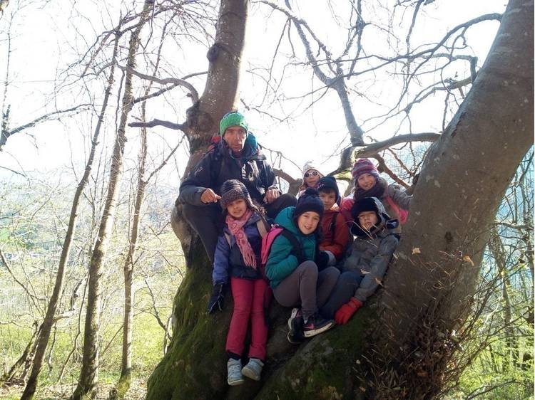 Photo 2 De l'arbre au papier