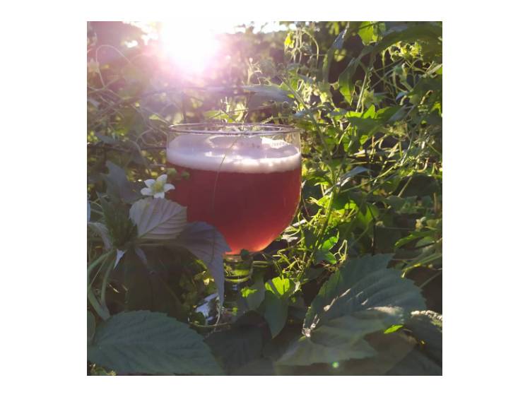 Photo 1 La Bière Percée