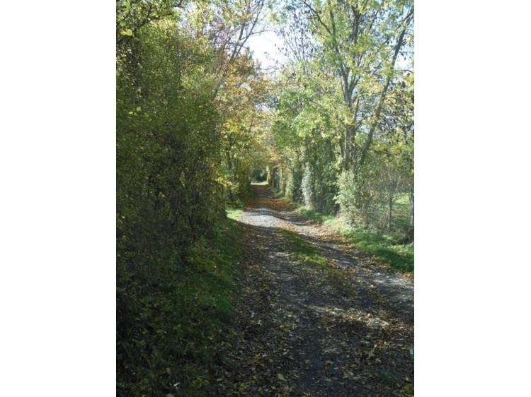 Photo 1 Circuit pédestre de la Méharie