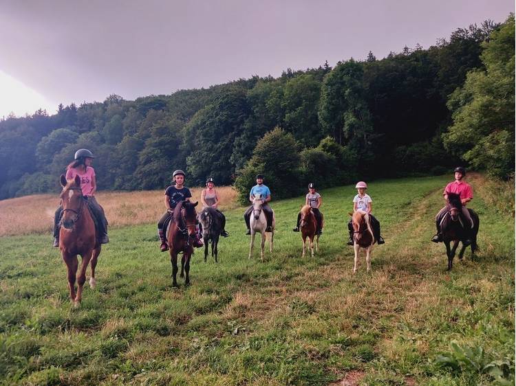 Photo 3 Ecurie du Serre