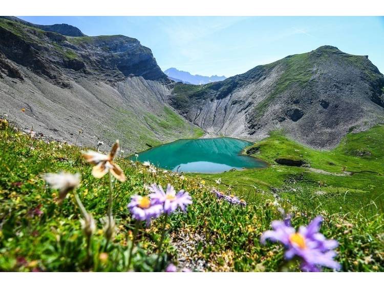 Photo 1 Lac Labarre