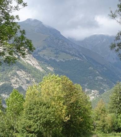 N°33 La plaine du Périer VTT - Bleu