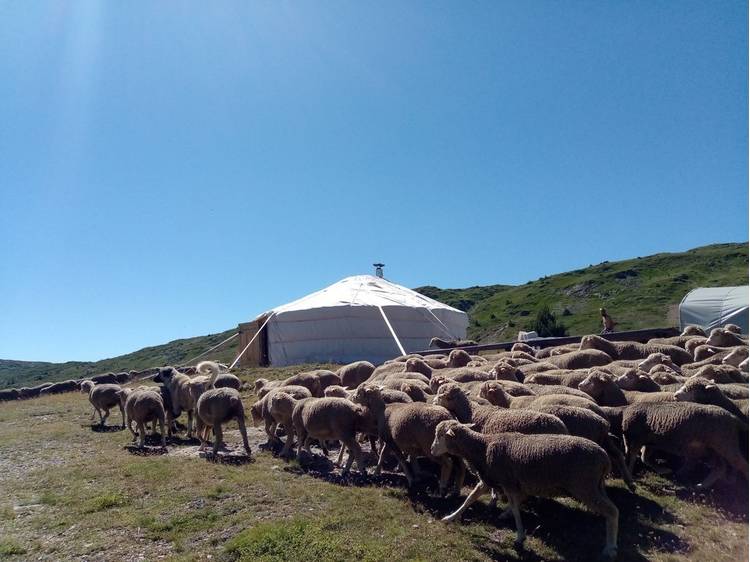 Photo 4 Refuge du Taillefer