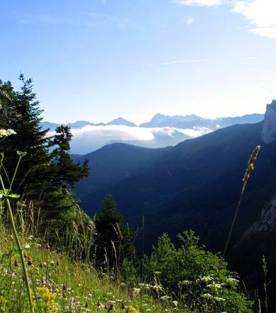 Randonnée pédestre : le Col de l'Aup