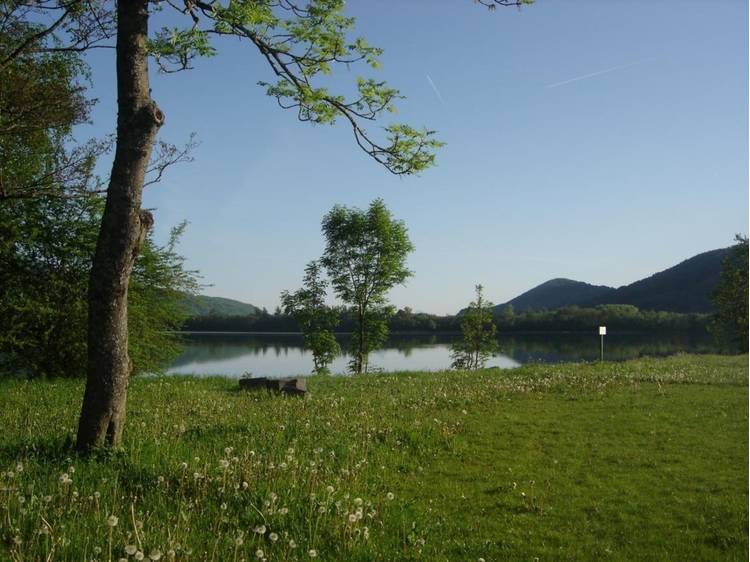 Photo 1 Pic-nic area of Les Cordeliers