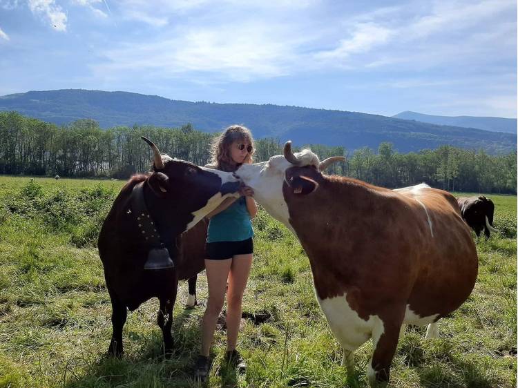 Photo 1 Gaec Normand - Fromagerie des Lacs