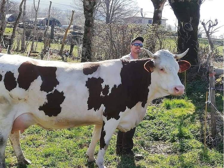 Photo 4 Gaec Normand - Fromagerie des Lacs