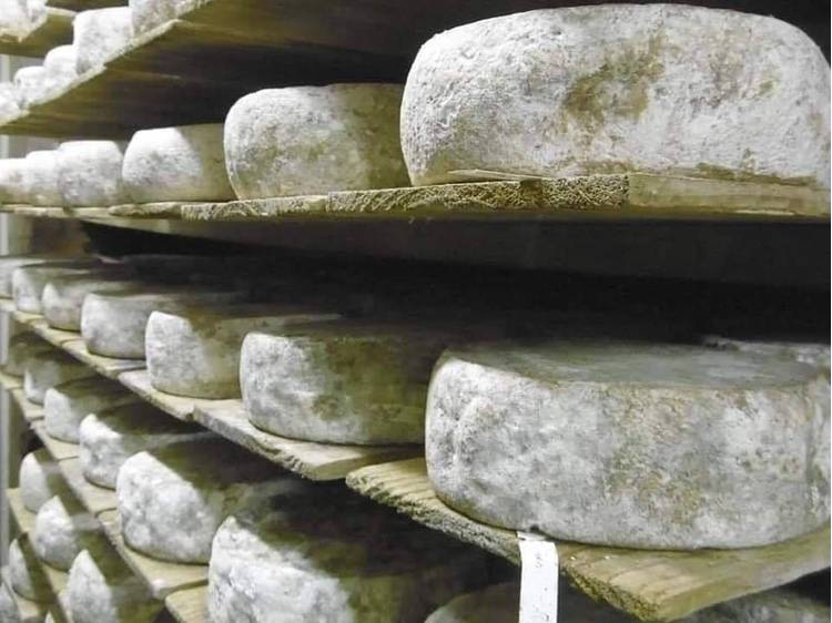 Photo 7 Gaec Normand - Fromagerie des Lacs