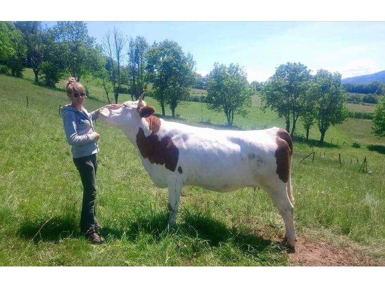 Photo 9 Gaec Normand - Fromagerie des Lacs