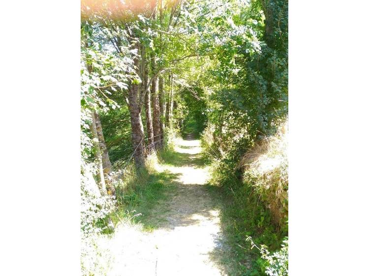 Photo 15 Le Mas du Lac - Chalet "Les Marmottes" (Gîte confort 4 personnes)