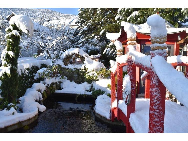 Photo 66 Au Printemps Japonais - de 2 à 6 pers