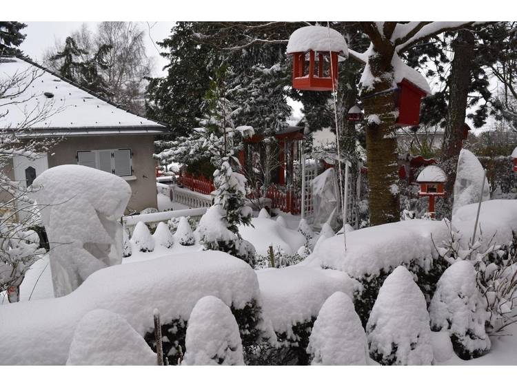 Photo 41 Au Printemps Japonais - de 2 à 6 pers