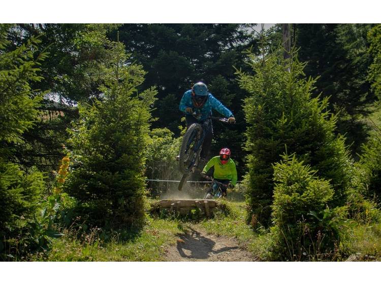 Photo 1 Bois Faudant - variante noire - VTT