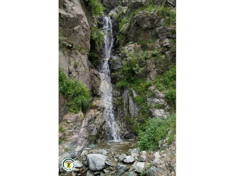 Photo 36 Le Tetras Lyre - 4 personnes
