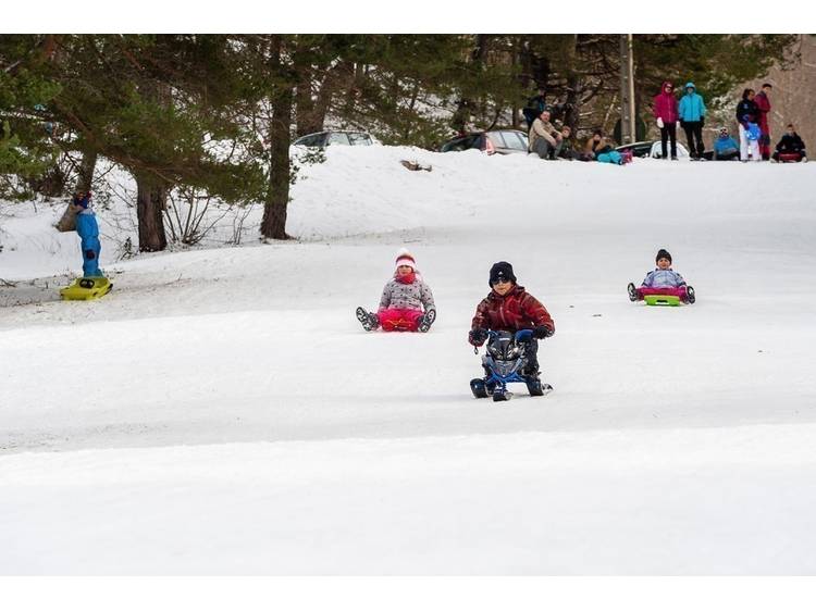 Photo 1 Espace luge Domaine des Signaraux