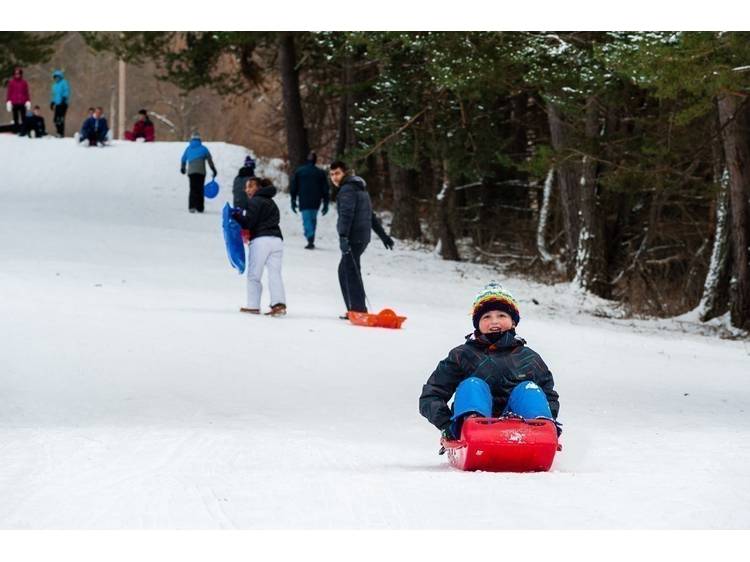 Photo 3 Espace luge Domaine des Signaraux