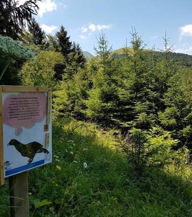 Rando famille - l'arboretum-Itinéraire pédestre