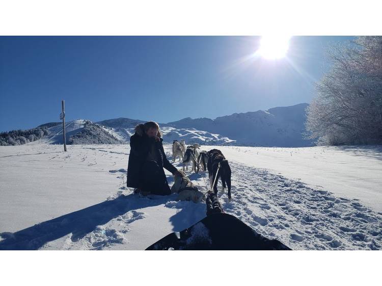 Photo 7 Chiens de traîneau d'été avec Guillaume