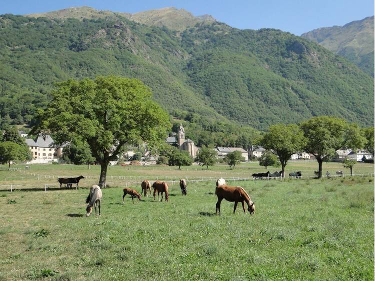 Photo 3 Haras du Don