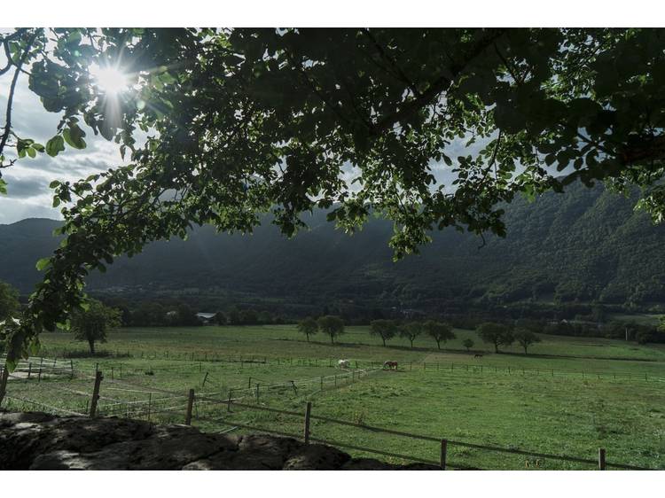 Photo 12 Haras du Don