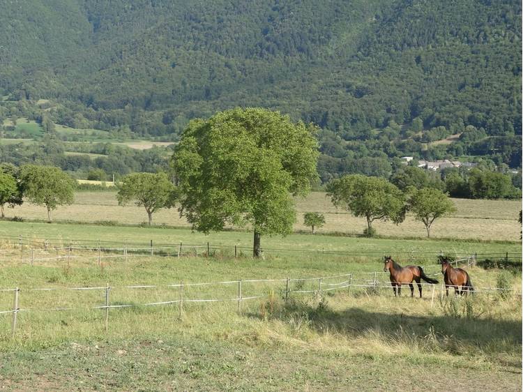 Photo 10 Haras du Don