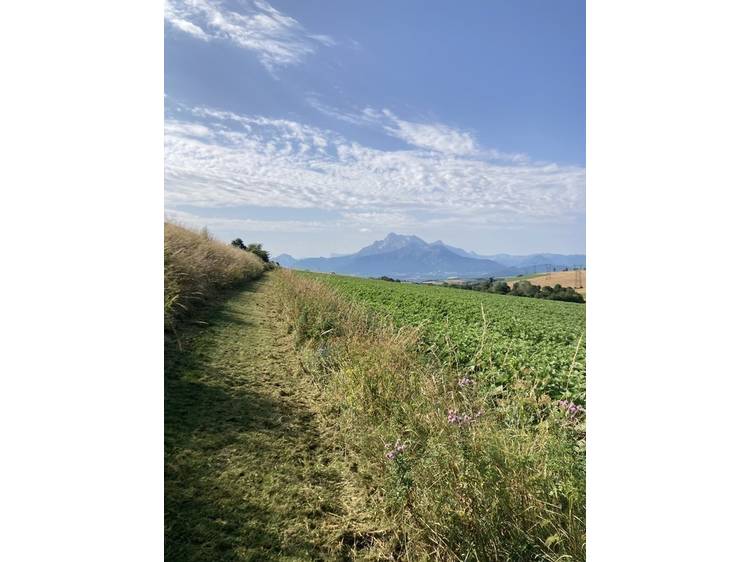 Photo 1 Randonnée pédestre : Les Serres depuis Fugières