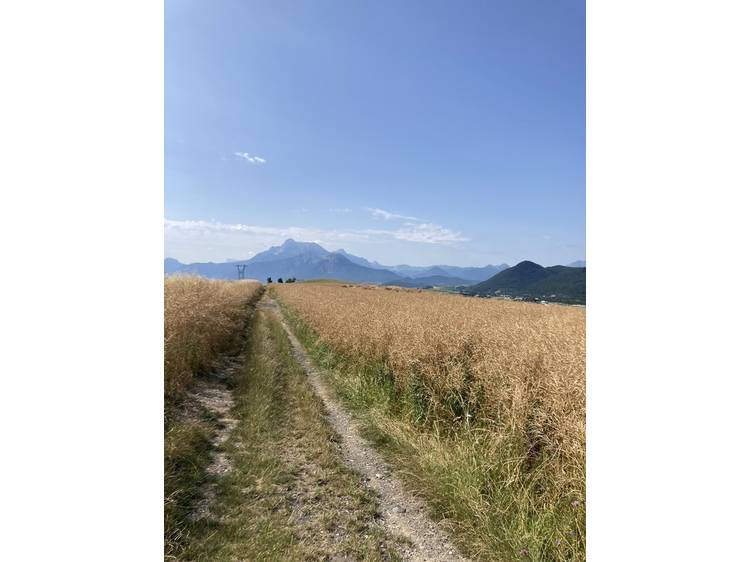 Photo 2 Randonnée pédestre : Les Serres depuis Fugières