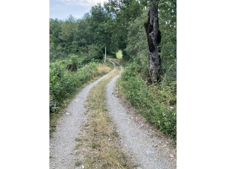 Photo 2 Randonnée pédestre : Les Creys de Villard-Saint-Christophe