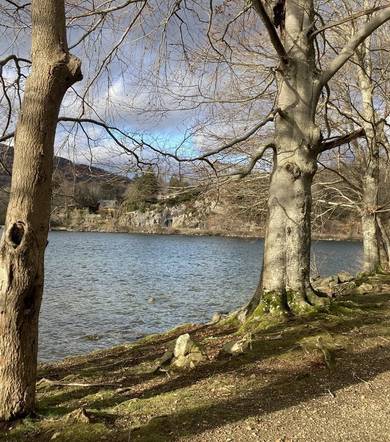 Rando-poussette : bord du lac de Laffrey