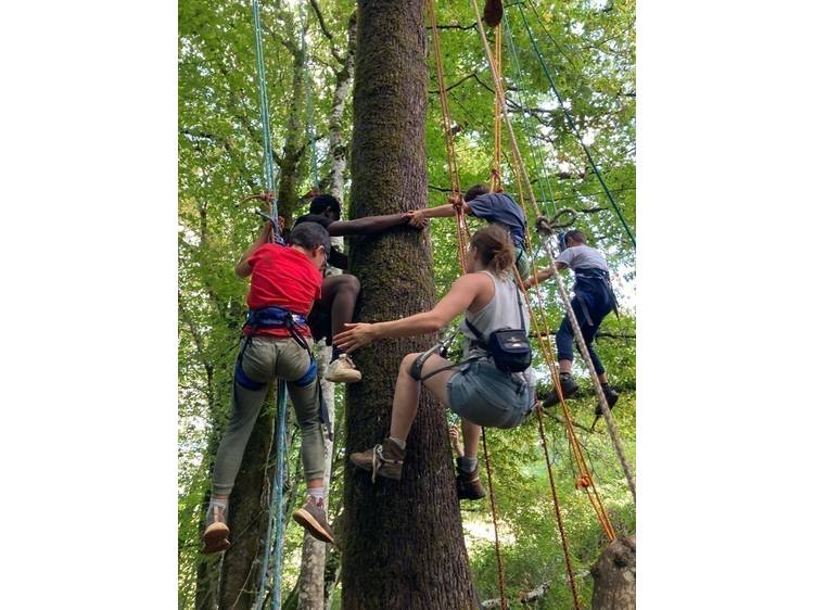 Photo 1 Rêve des forêts