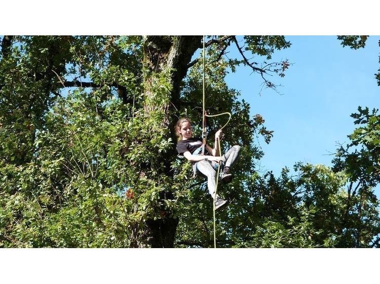 Photo 2 Rêve des forêts