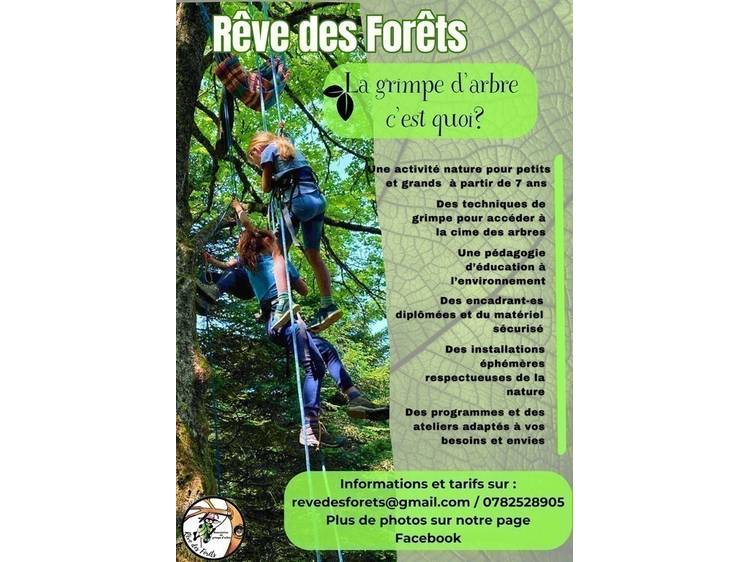 Photo 5 Rêve des forêts