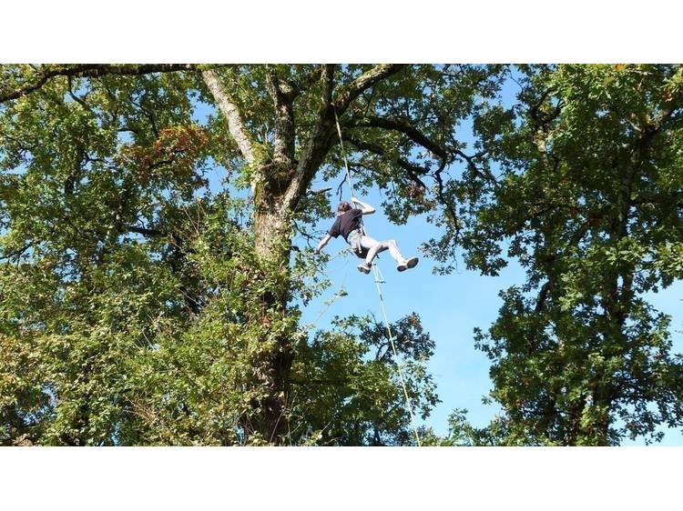 Photo 8 L'aventure au sommet avec Rêve des Forêts