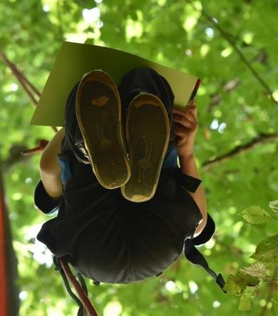 L'aventure au sommet avec Rêve des Forêts