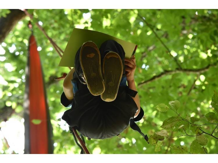 Photo 1 L'aventure au sommet avec Rêve des Forêts