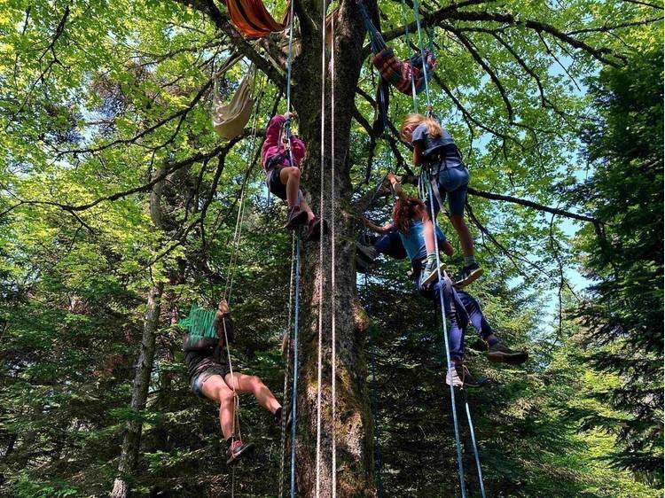 Photo 2 L'aventure au sommet avec Rêve des Forêts