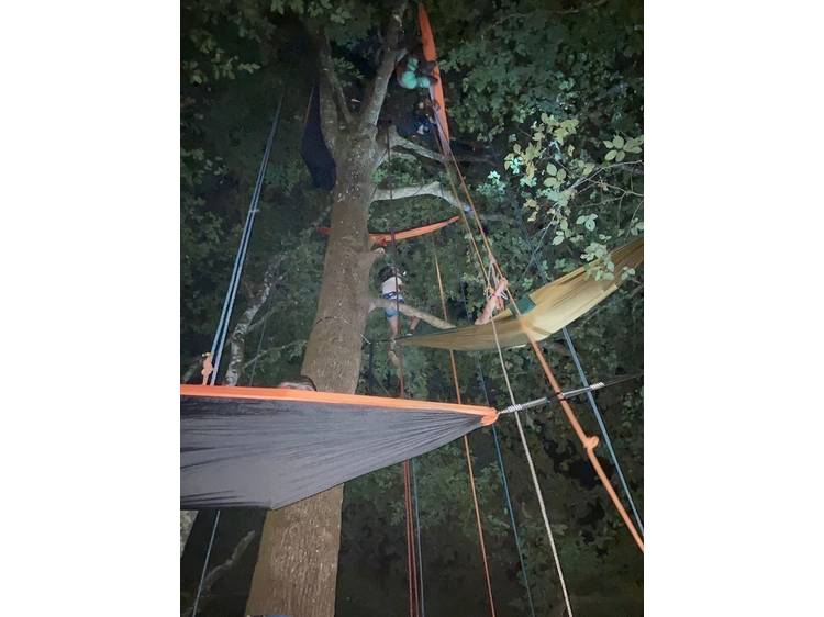 Photo 7 L'aventure au sommet avec Rêve des Forêts