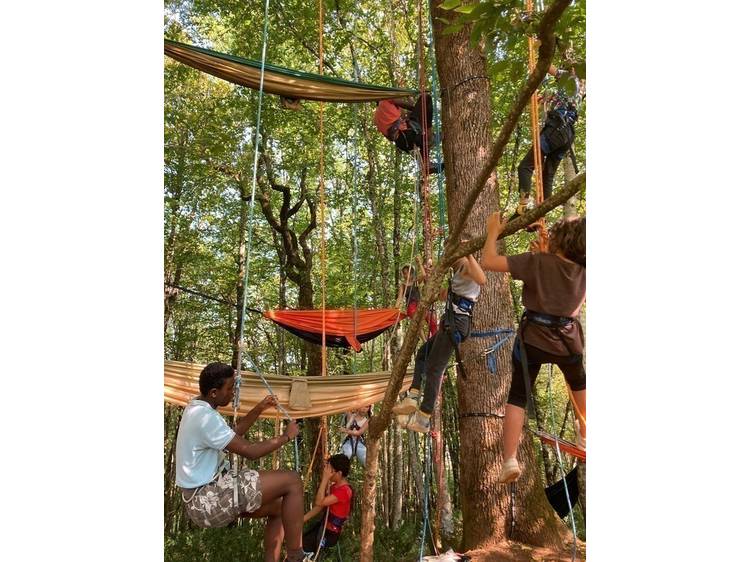 Photo 5 L'aventure au sommet avec Rêve des Forêts