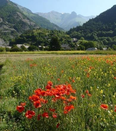 Promenade pédestre : Balade sonore au Périer