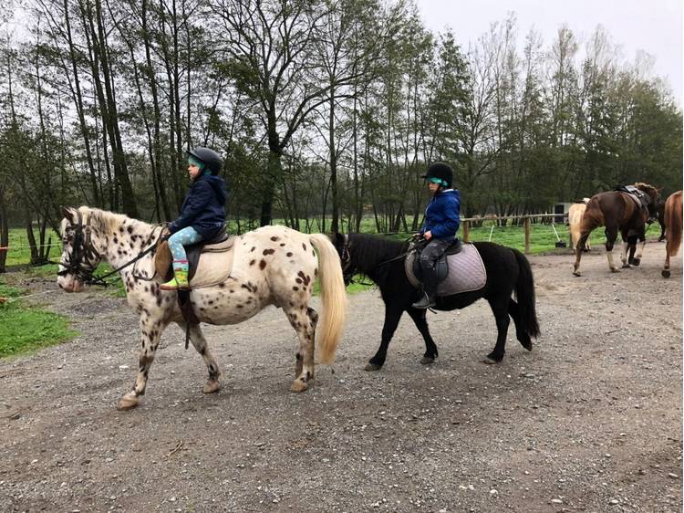 Photo 3 AU PAS, AU TROT, AU GALOP !