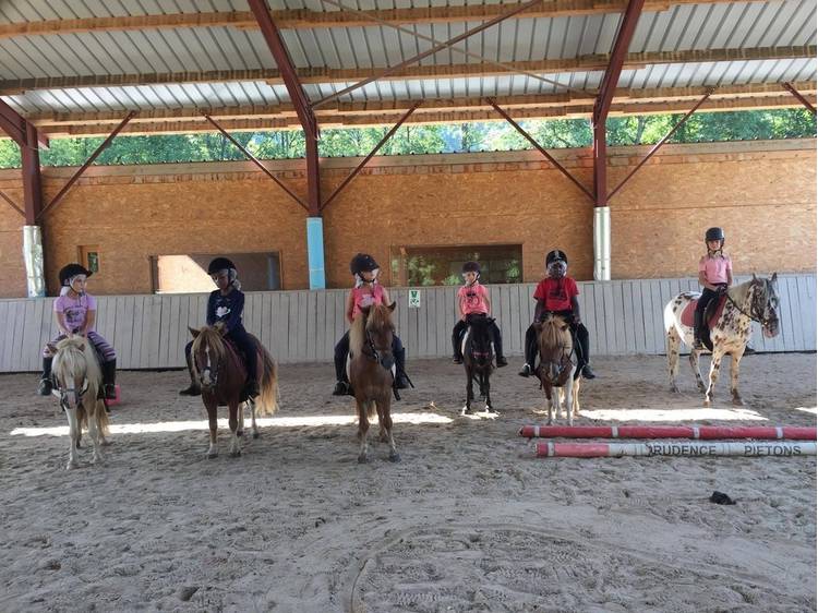 Photo 4 AU PAS, AU TROT, AU GALOP !