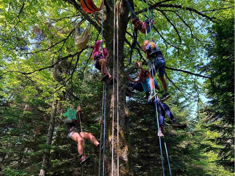 Photo 4 Nuit des forêts en Matheysine